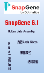 SnapGene 6.1版最新更新