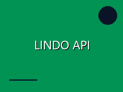 LINDO API 16