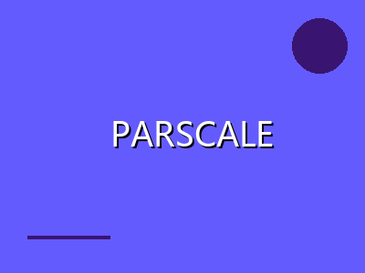 PARSCALE 4