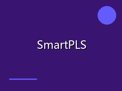 SmartPLS 4 结构方程模型