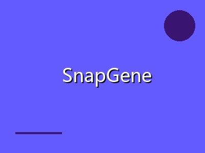 SnapGene