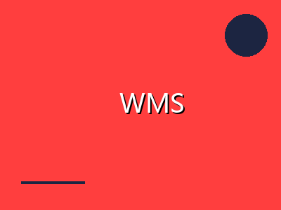 WMS 11