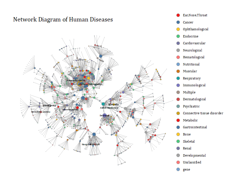 2021b Network